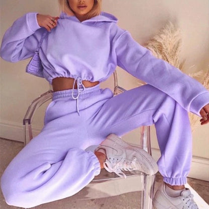 Trendy women's hoodie and joggers set in purple featuring a cropped top and relaxed fit pants